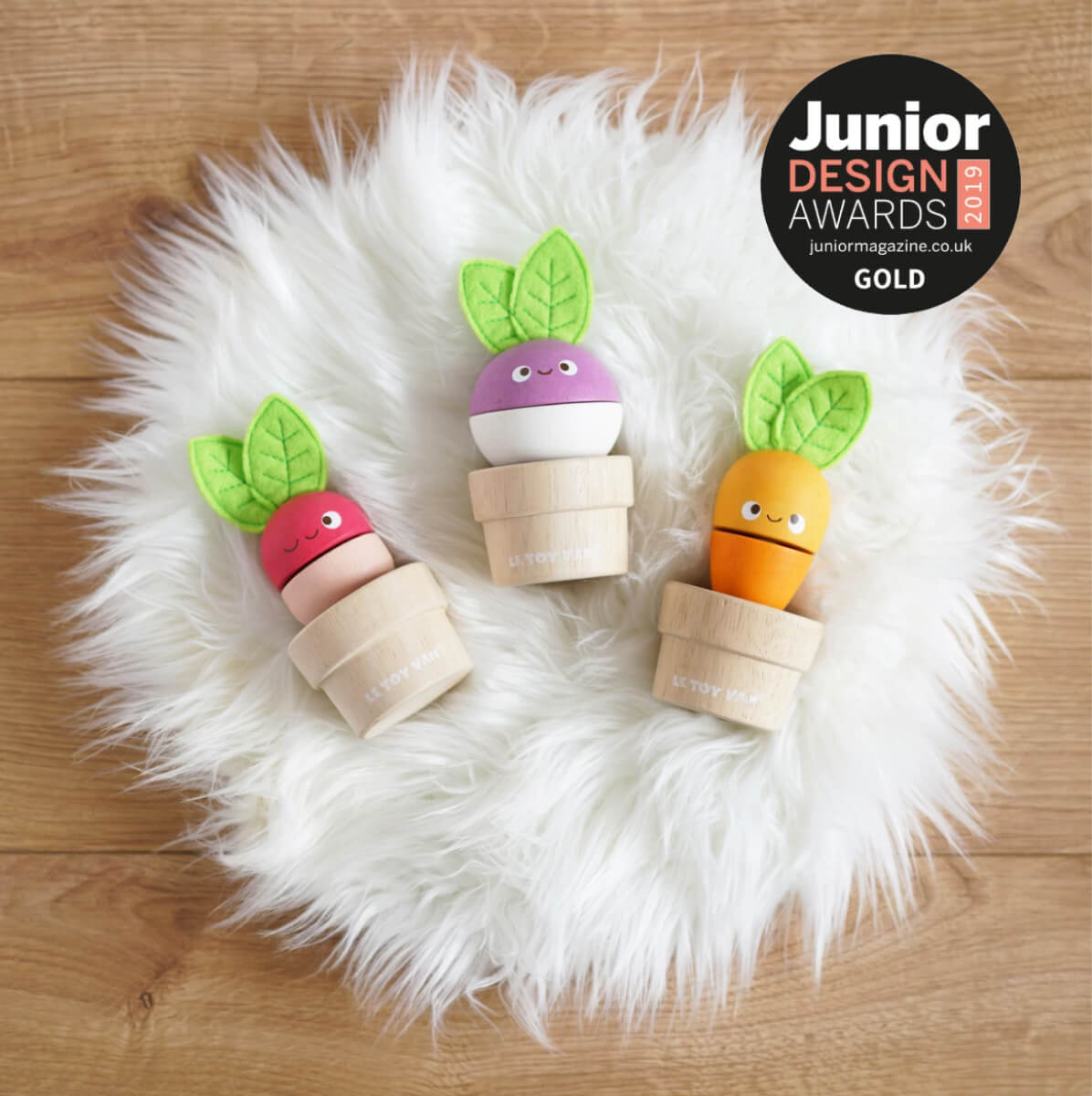 Awards - Junior Design - Stacking Veggies