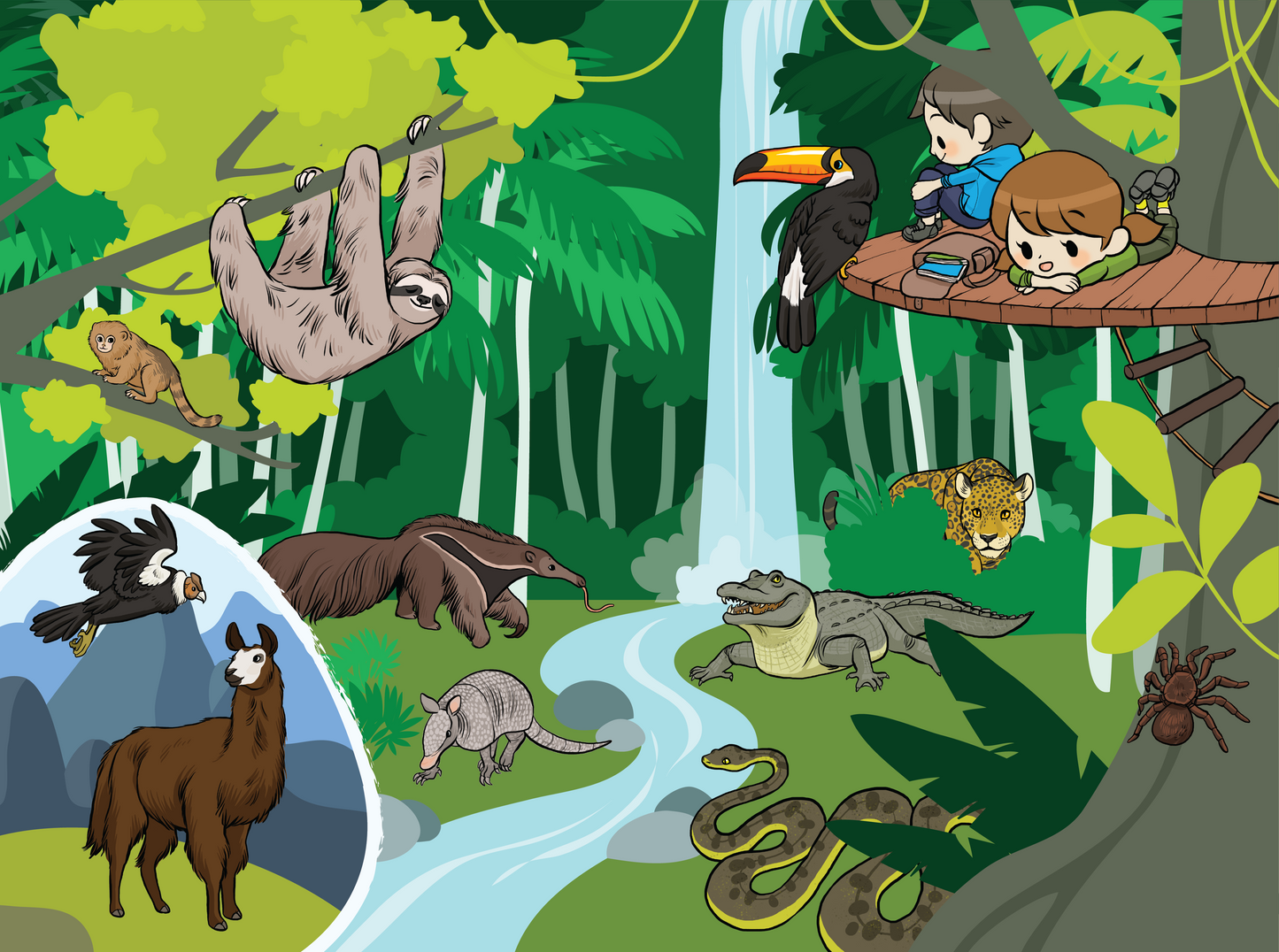 Livres jeunesse & illustrations