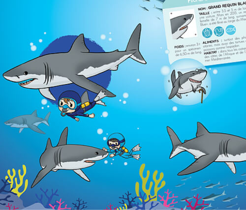 Studio Méïzou - Illustration Livre 8