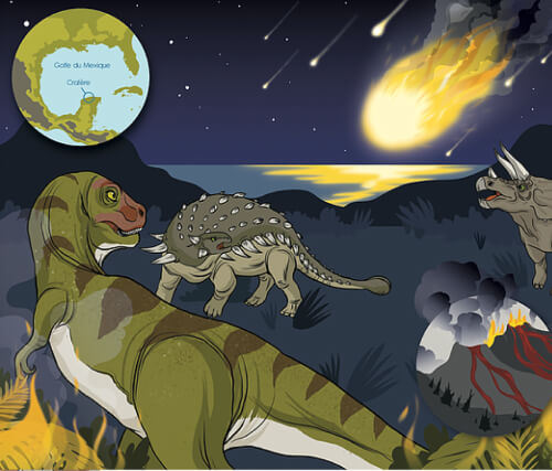 Studio Méïzou - Illustration Livre 9