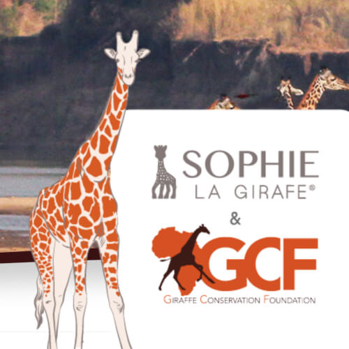 Studio Méïzou - Sophie la Girafe 2