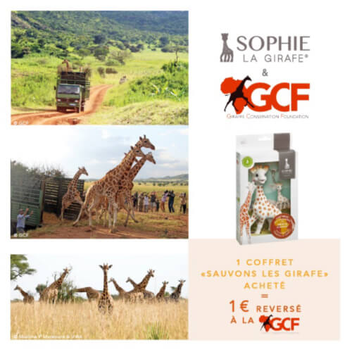 Studio Méïzou - Sophie la Girafe 6