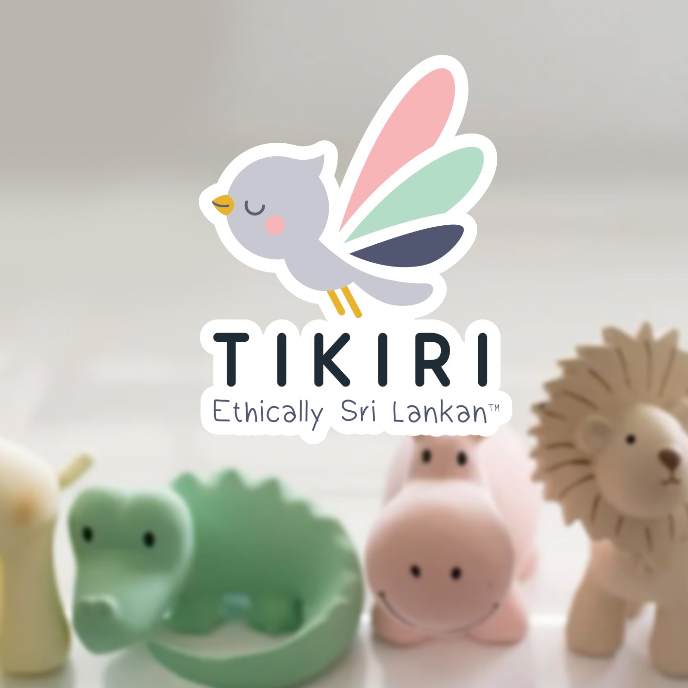 Branding & Illustrations - Eco-friendly early learning toys